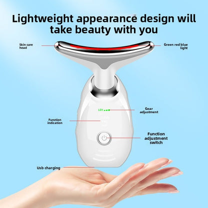 Light Therapy & EMS Facial Lifting Massager